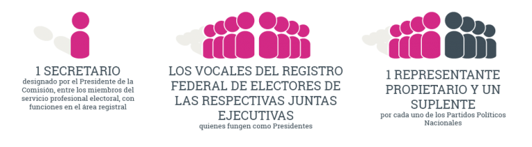 Comisiones De Vigilancia Locales Y Distritales - Instituto Nacional ...