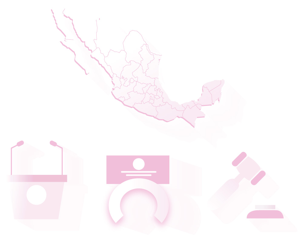 Organización Política de México