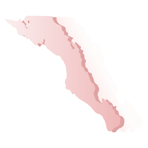 Elección Baja California Sur 2018
