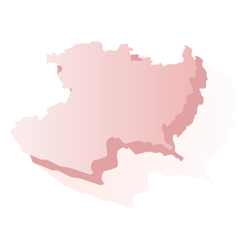 Elección Michoacán 2018