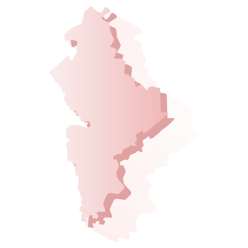 Elección Nuevo León 2018