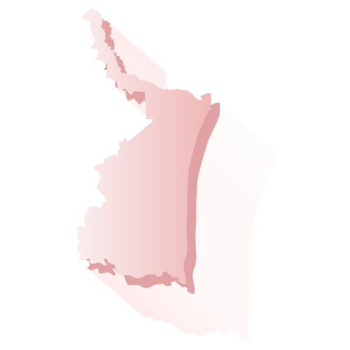 Elecciones 2019 Tamaulipas