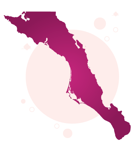Baja California elecciones