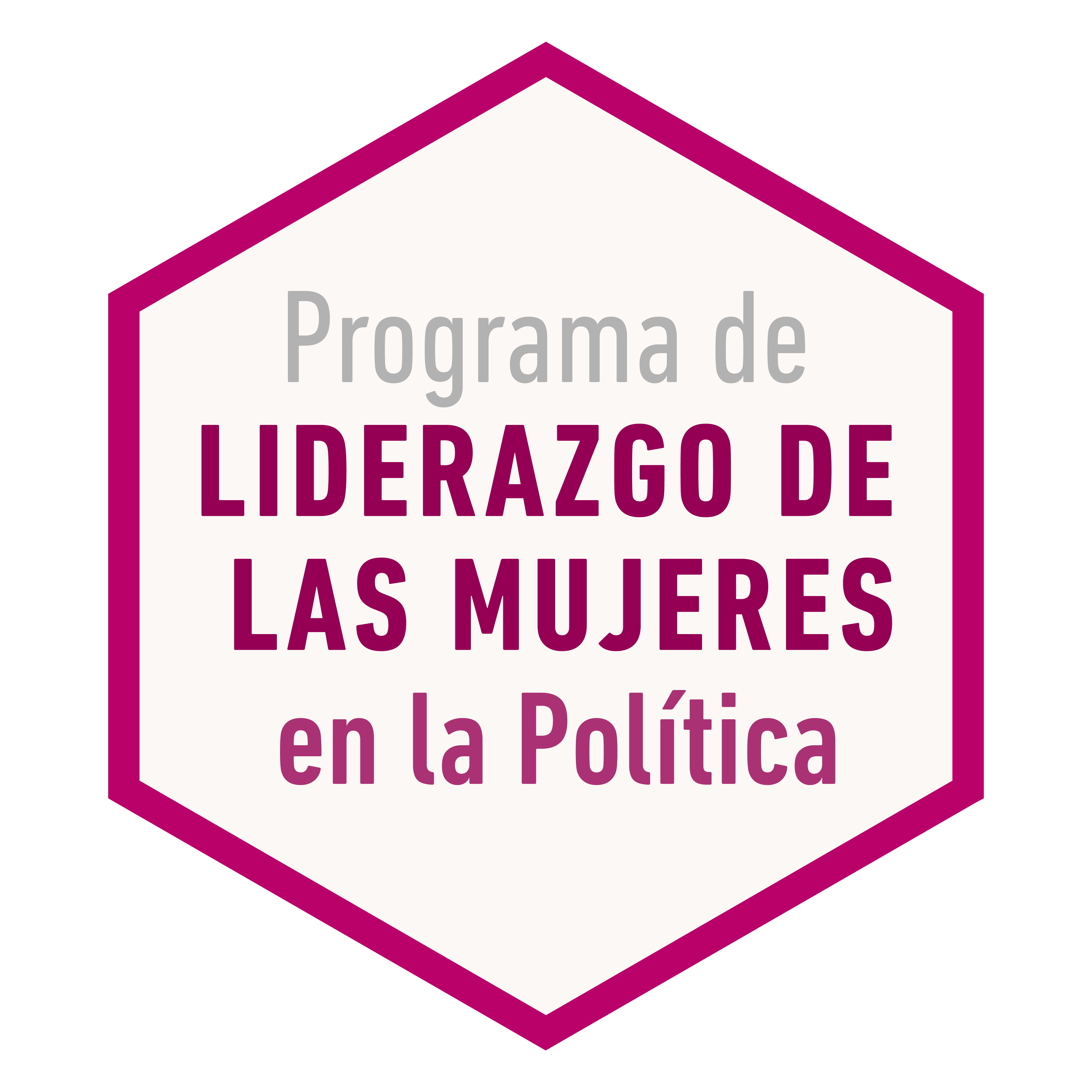 Programa De Liderazgo De Las Mujeres En Política Instituto Nacional Electoral