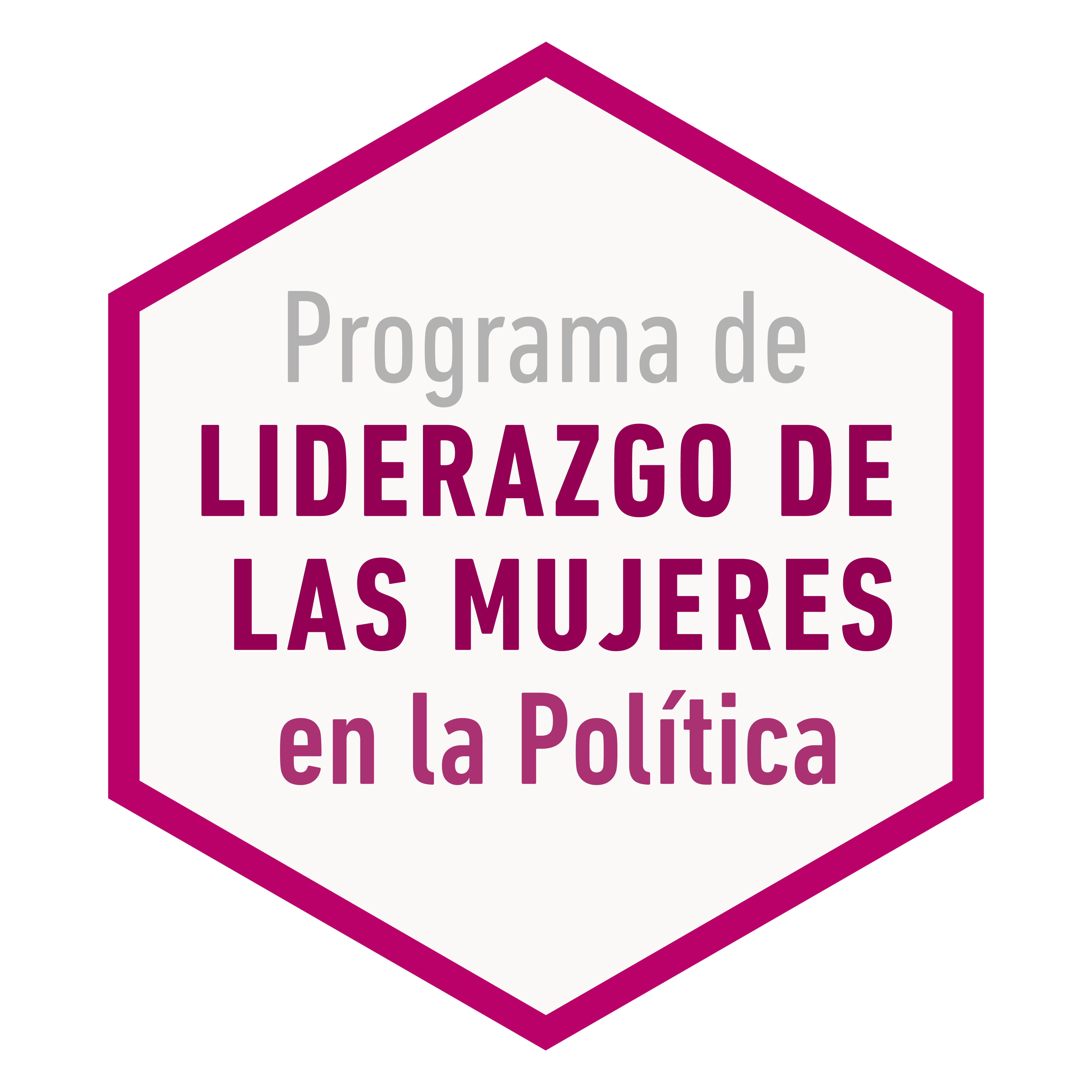 Programa De Liderazgo De Las Mujeres En Política Instituto Nacional Electoral 0209