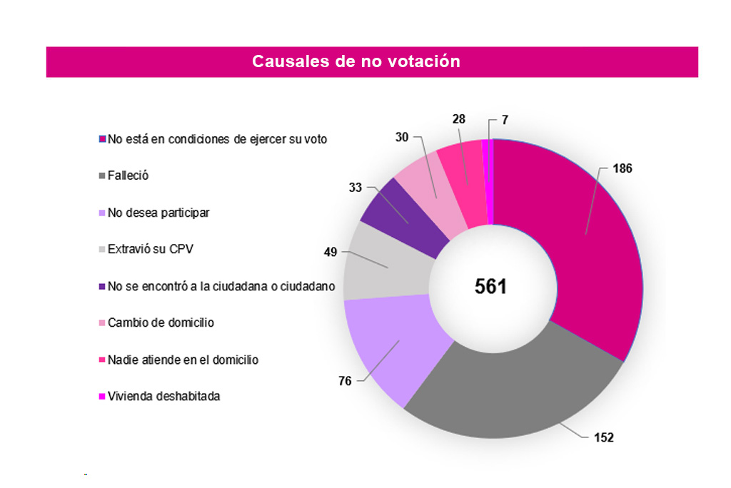 Causales no votación 2024