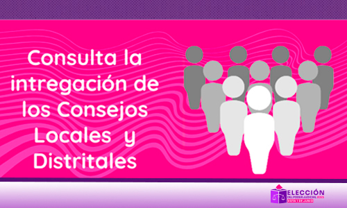 Integración Consejos Locales y Distritales