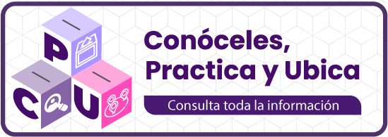 Conóceles, Practica y Ubica