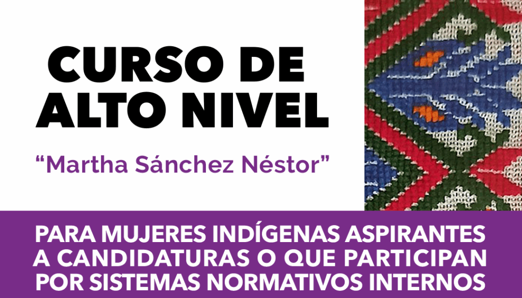 Banner Curso para mujeres indígenas aspirantes a candidaturas
