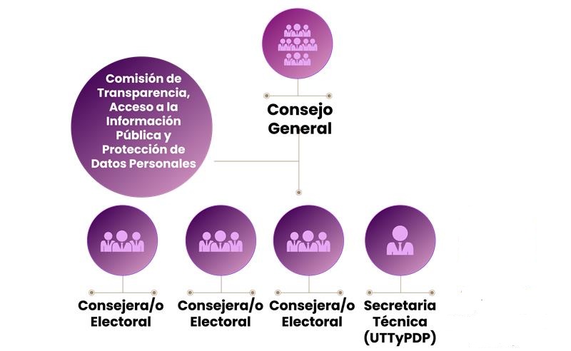 Organigrama Autoridad Garante de Partidos Políticos