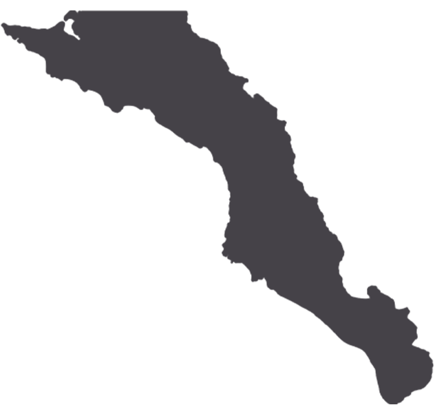 Estado de baja california sur