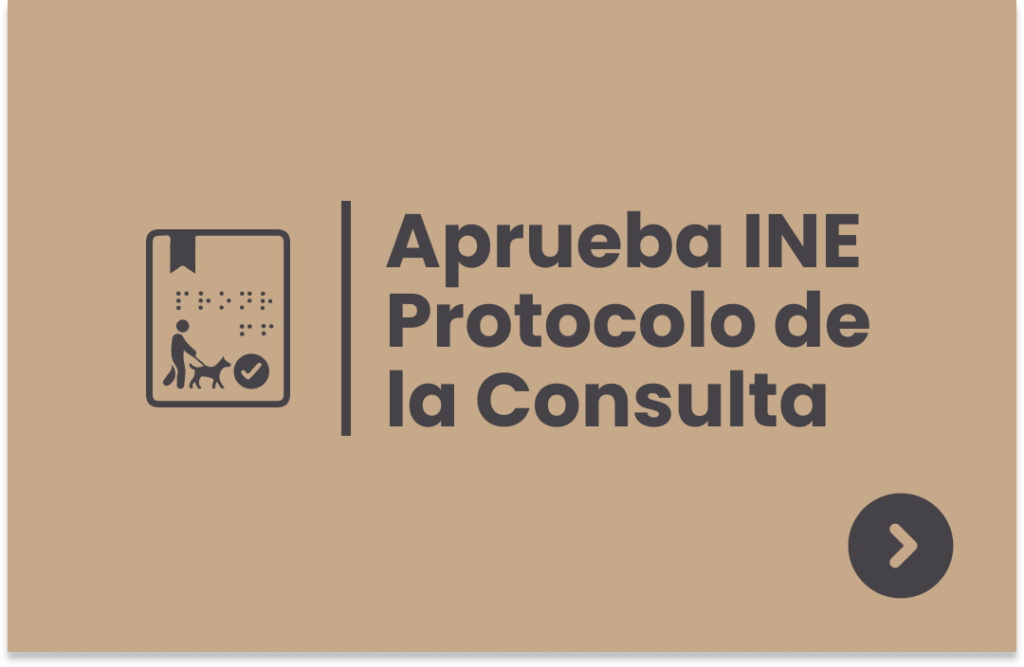 Aprobación del protocolo de la consulta