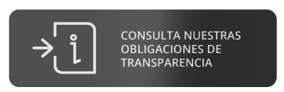 Consulta obligaciones transparencia del INE