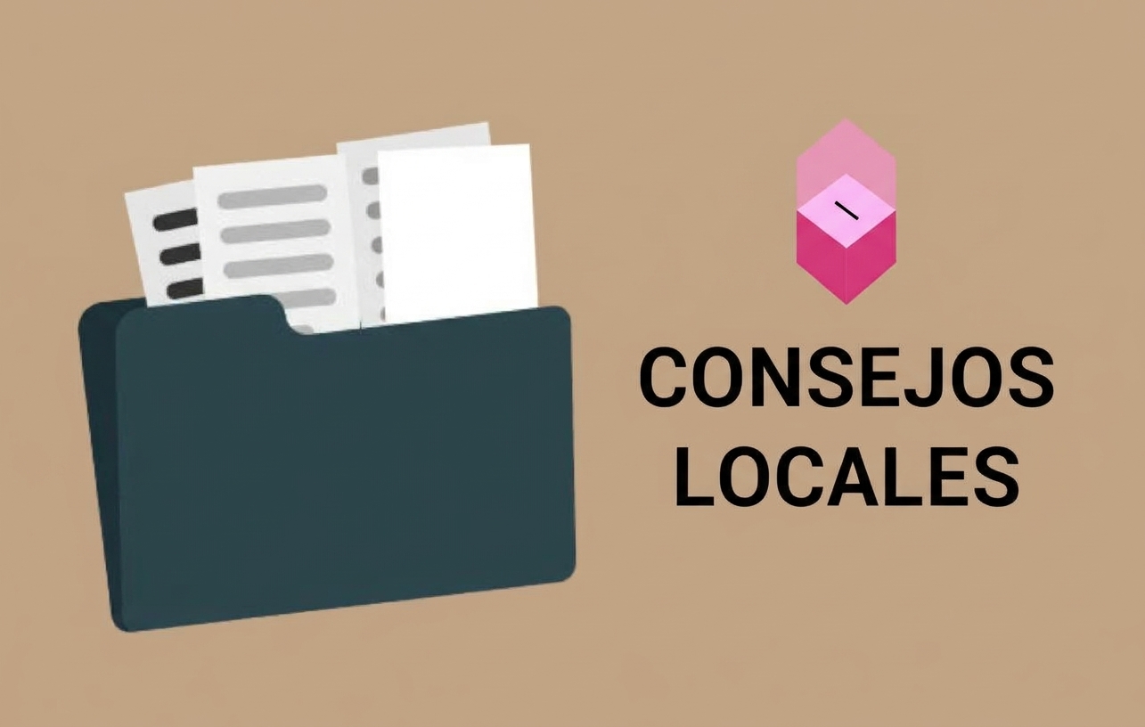 Consejos Locales