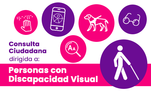 Banner de consulta ciudadana a personas con discapacidad visual