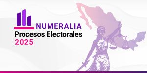 Numeralia Procesos Electorales Locales