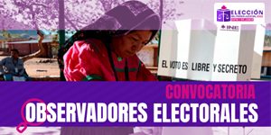 convocatoria Observadores Electorales Proceso Judicial 2025